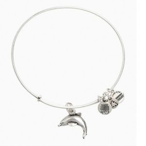 ALEX AND ANI
Dolphin Rafaelian Silver Bangle